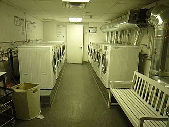 Rented by Bien Realty Ltd