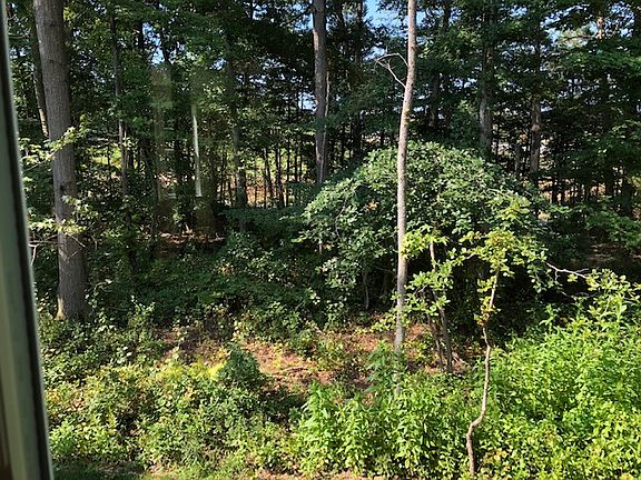 Back Yard 2