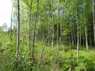 10931 S Ridge Rd, Wasilla, AK 99623