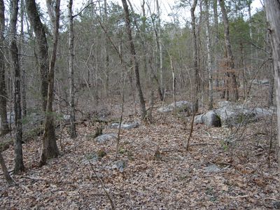 0 County Road 59, Moulton, AL, 35650