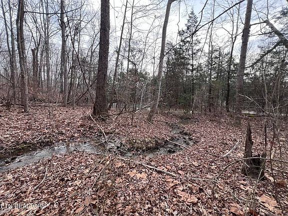 5th image of 0 Buffalo Cove Rd