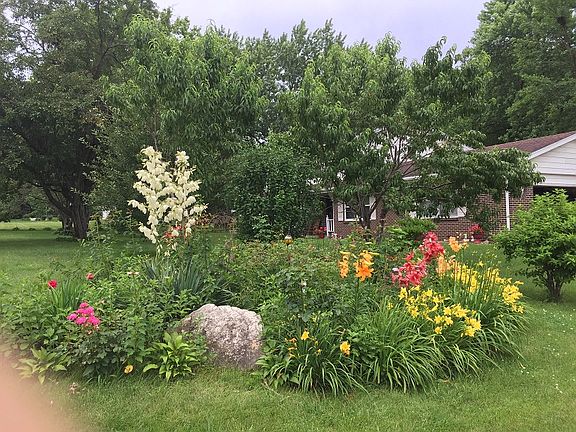 Perennials galore!