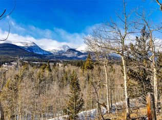 96 Dead Toad Rd, Alma, CO 80420