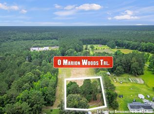1 Marion Woods Trl, Bonneau, SC 29431
