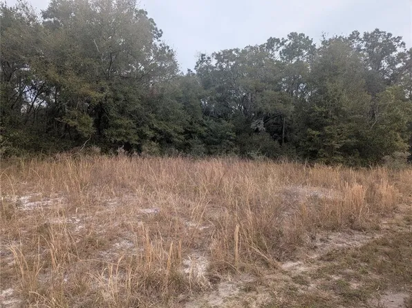 Locust Run Lot 5, Ocala, FL 34472