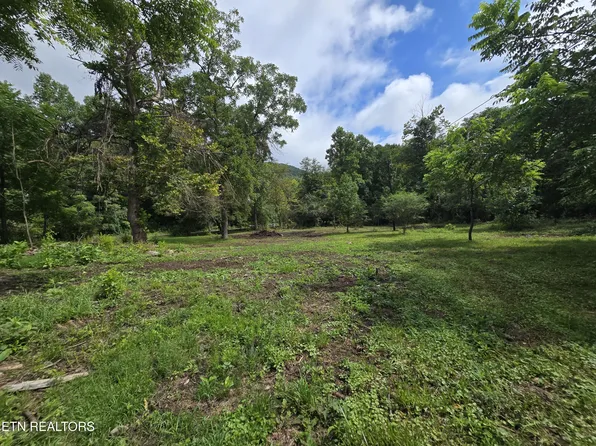 0 Valley Spring Rd, Rose Hill, VA 24281