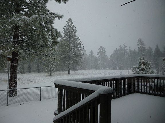 2nd image of 167 Oriole Dr
