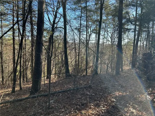 0 Twin River Orchard Rd #4, Demorest, GA 30535