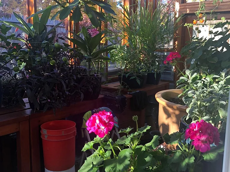 Greenhouse.
