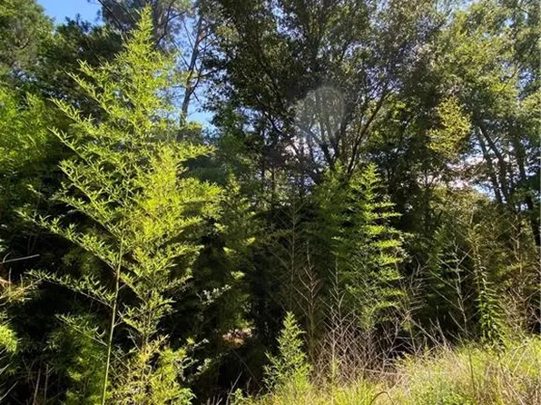 0 Cactus Dr, Pineville, LA 71360