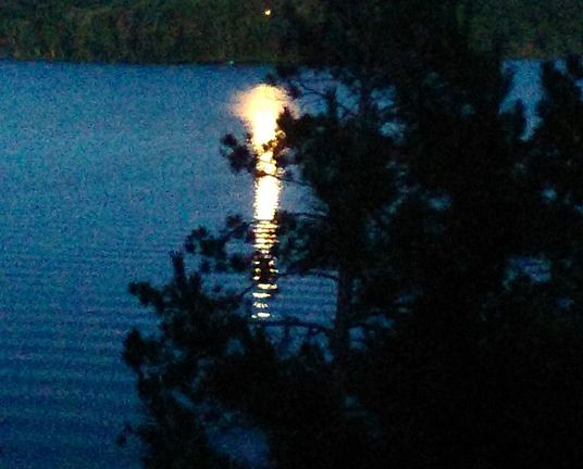 Full Moon Over Sylvan