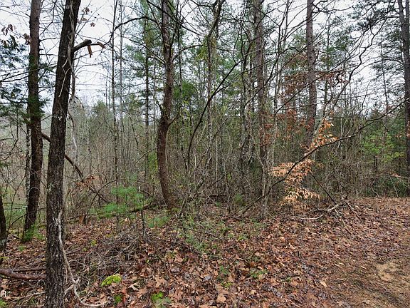 5th image of 23 Alpine Ridge Way Lot 23