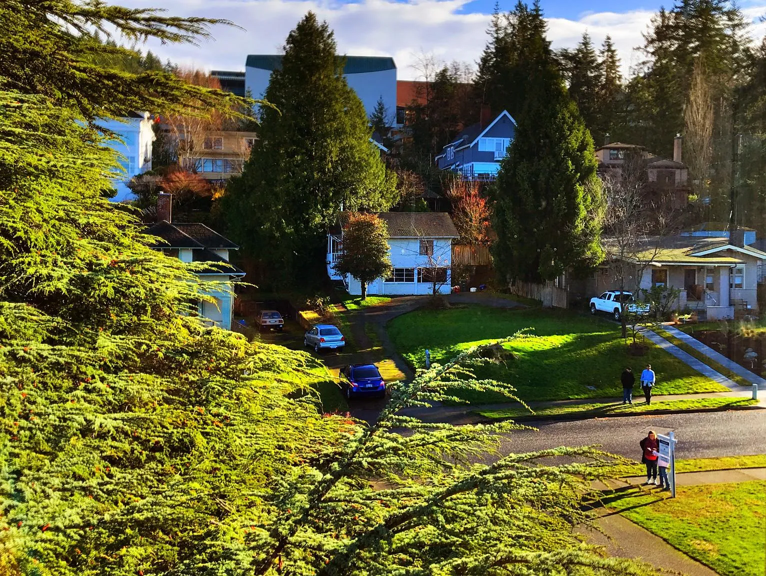 N Forest St, Bellingham — Photo 3
