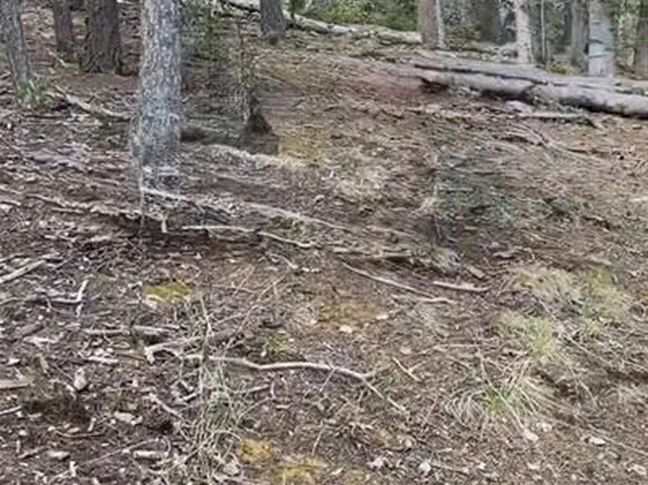 0 Glenwood Ln, Woodland Park, CO 80863