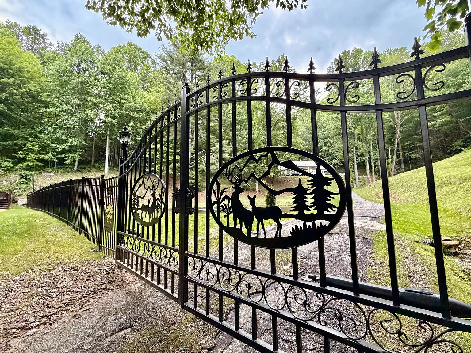 Peek And Peak Ln, Scaly Mountain — Photo 4