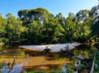 W Union Rd, Carriere, MS 39426