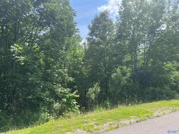 1 Meadow Creek Rd, Gadsden, AL 35905