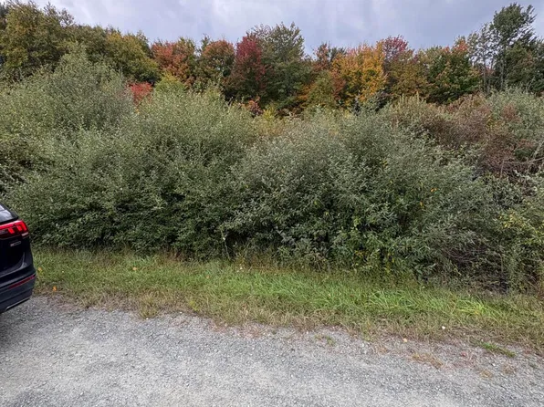 29 Panther Hill Cir, Newfoundland, PA 18445