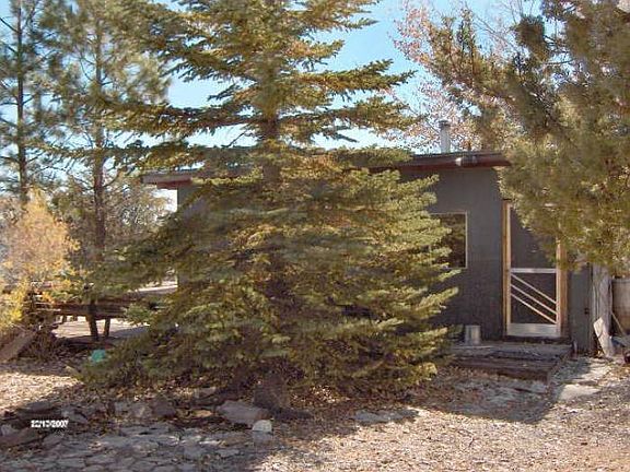 LOTS OF LARGE SHADE TREES