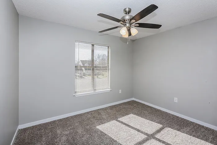 507 Twin Pine Cv — Photo 10