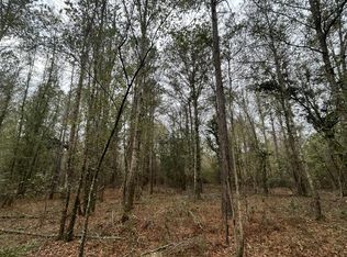 0 Southern Charm Rd, Ruffin, SC 29475