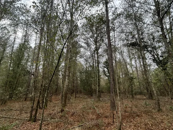 0 Southern Charm Rd, Ruffin, SC 29475