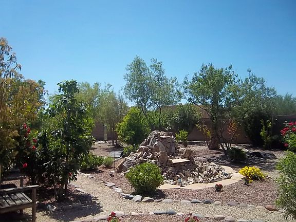 large back yard
