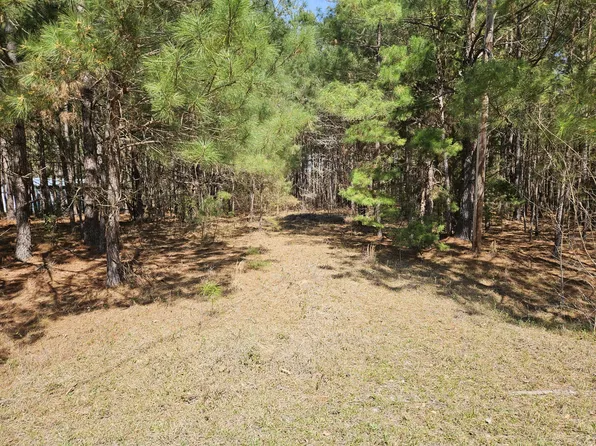 1382 Brandywine Trce, Summerton, SC 29148