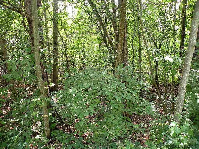4th image of TAMMY Trail