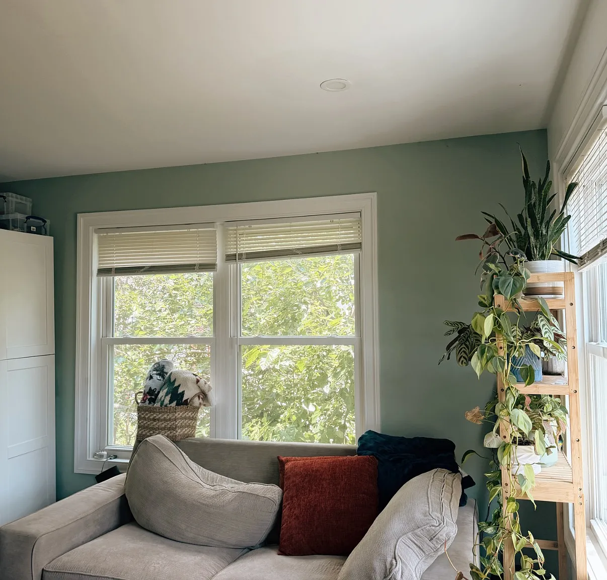 1 bed, 430 sqft, $1,350 — Photo 4