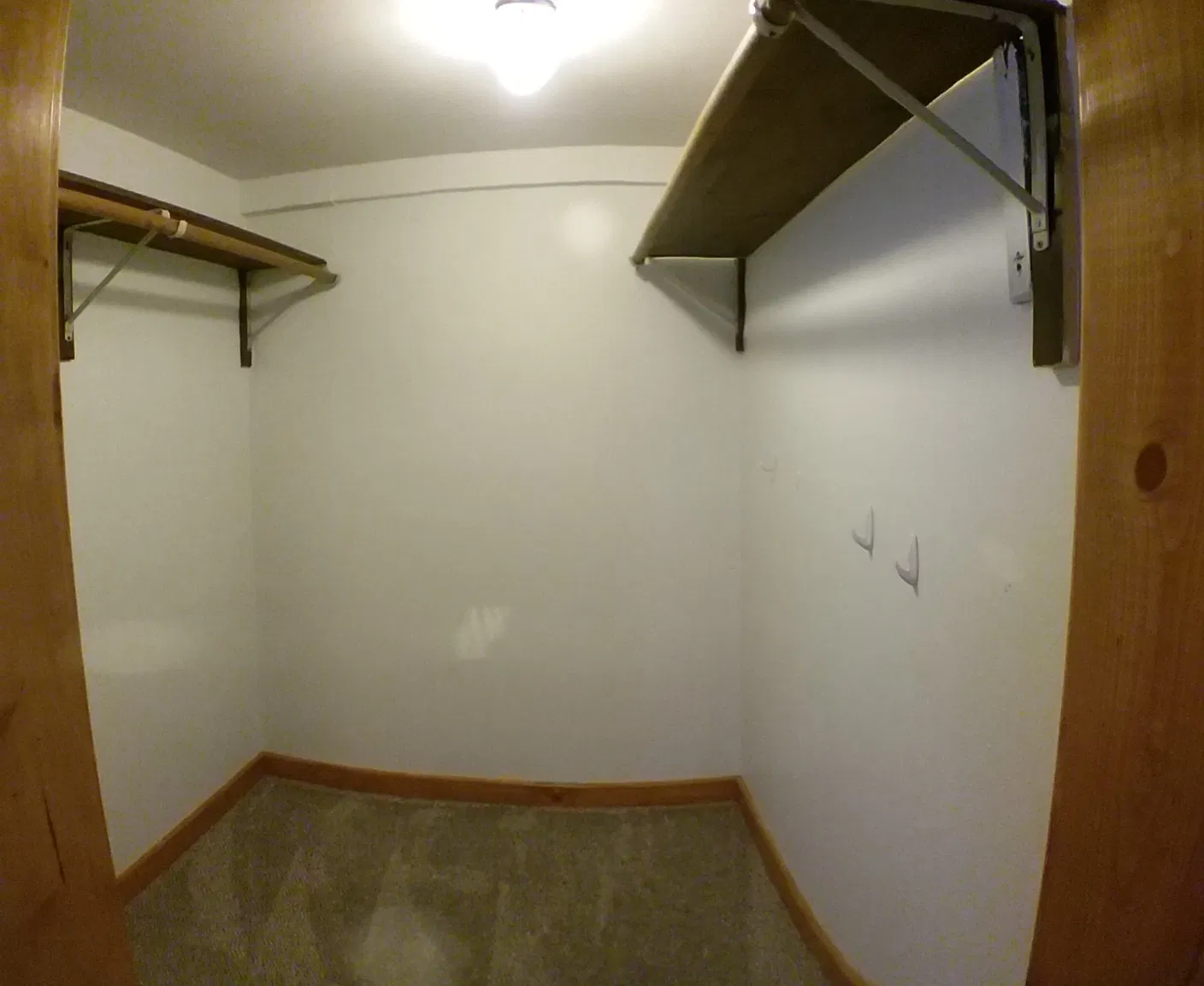 1419 Mclean St. - Lower — Photo 4