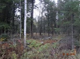 Peshtigo River Rd, Blackwell, WI 54519