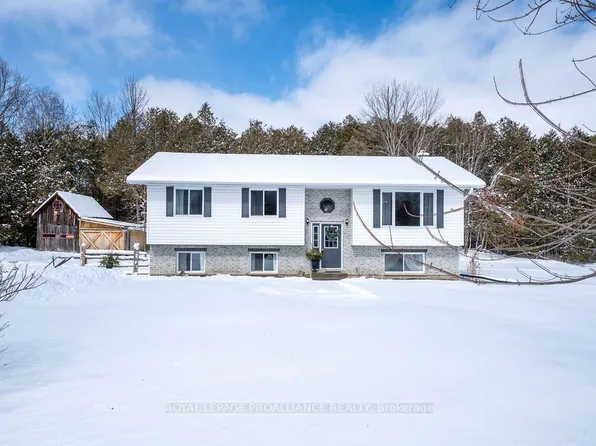 42 Springbrook Rd, Centre Hastings, ON K0K 2K0