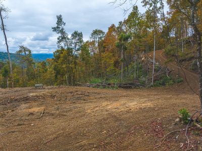 Off Panther Creek Rd, Sneedville, TN, 37869