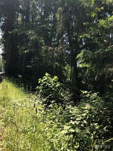 345 xxx Holst Road, Clinton, WA, 98236