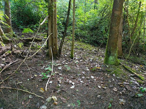 Photo of interior of lot.