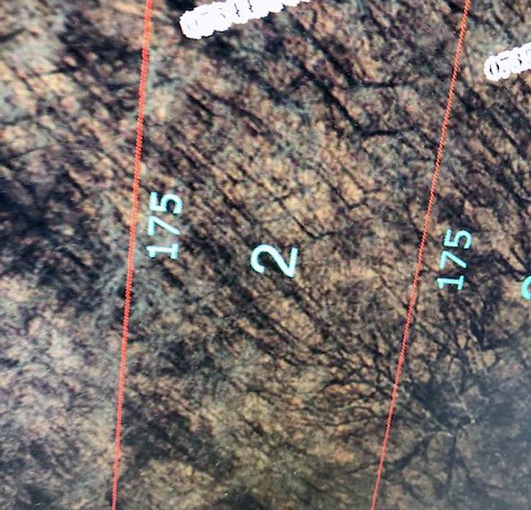 1st image of Oak Run Dr
