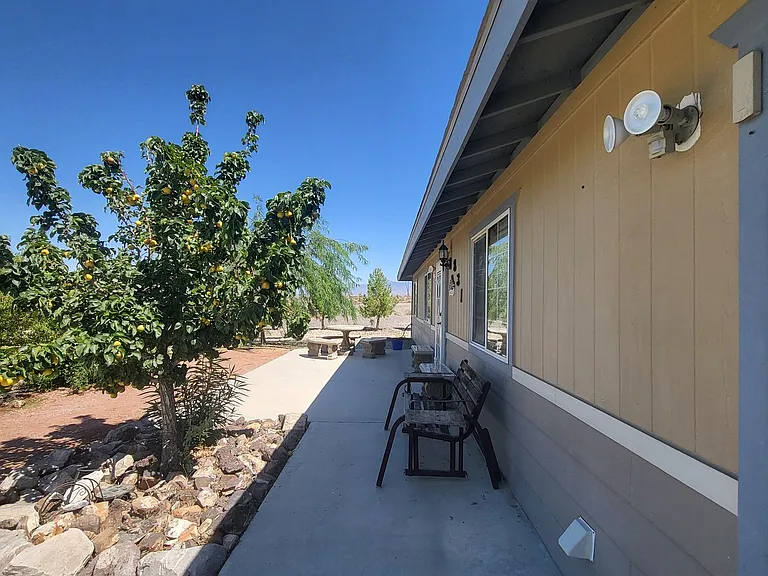831 David Adam Rd — Photo 8