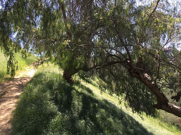 2nd image of 5435 Divina St