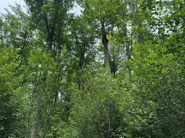 OOO Patton Drive, Marshfield, WI 54449