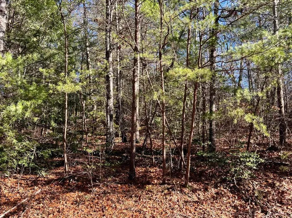 119 Natchez Cir, Fairfield Glade, TN 38558