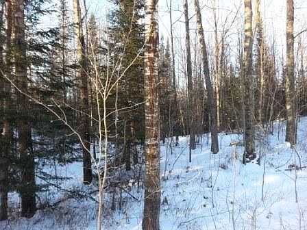 4th image of 26.6 Acres Old Hwy #51