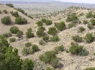 00 Camino Cerro Chato, Cerrillos, NM 87010