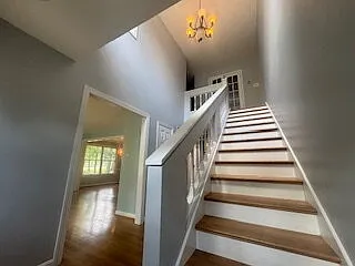 101 Jasmine Ct — Photo 5