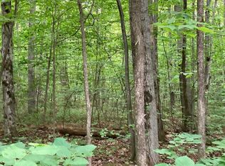 15315 Maple Glen Dr, Wolverine, MI 49799