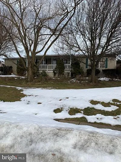 19 Elizabeth Ave photo 1