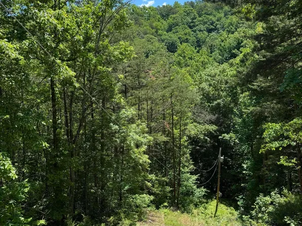 2313 High View Rd, Sevierville, TN 37876