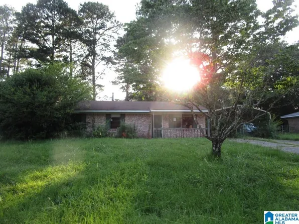 707 Panola Trl, Warrior, AL 35180