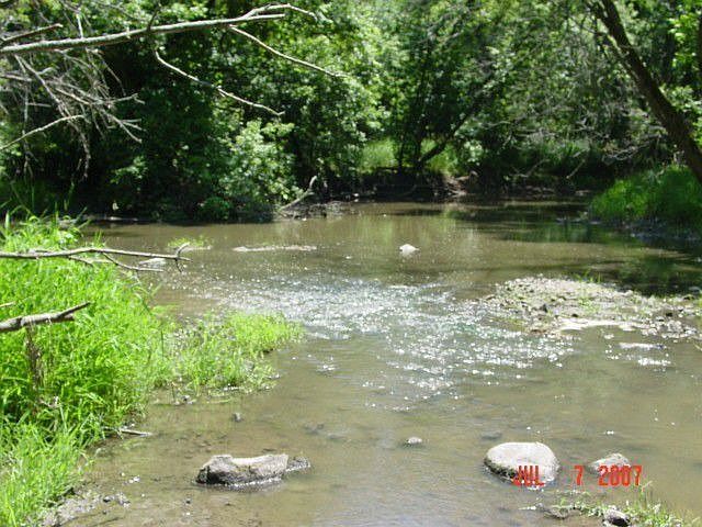 Wildcat Creek