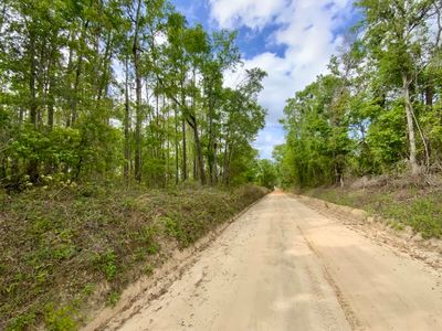 Vacant Ne Raspberry Way, Pinetta, FL, 32350